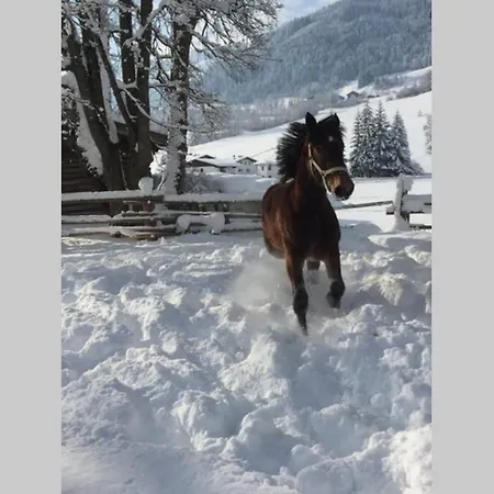 Apartmán Sunny Maria Alm am Steinernen Meer