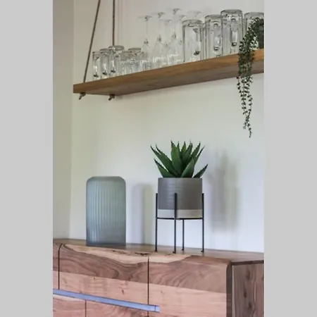 Sunny מריה אלם אם שטיינרנן מיר