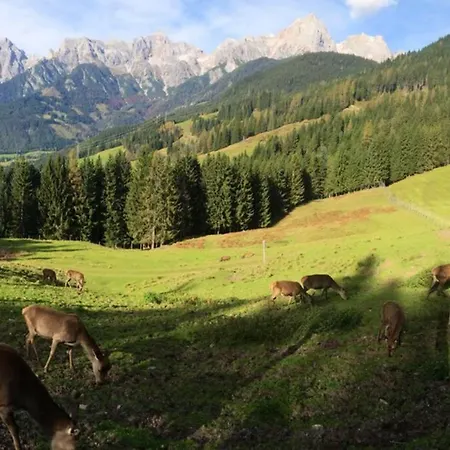 Sunny * Maria Alm am Steinernen Meer