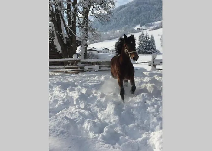 Appartamento Sunny Maria Alm am Steinernen Meer