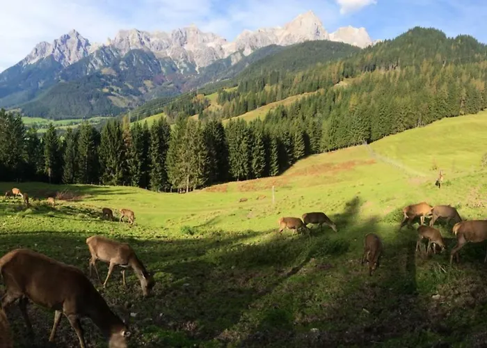 Sunny * Maria Alm am Steinernen Meer
